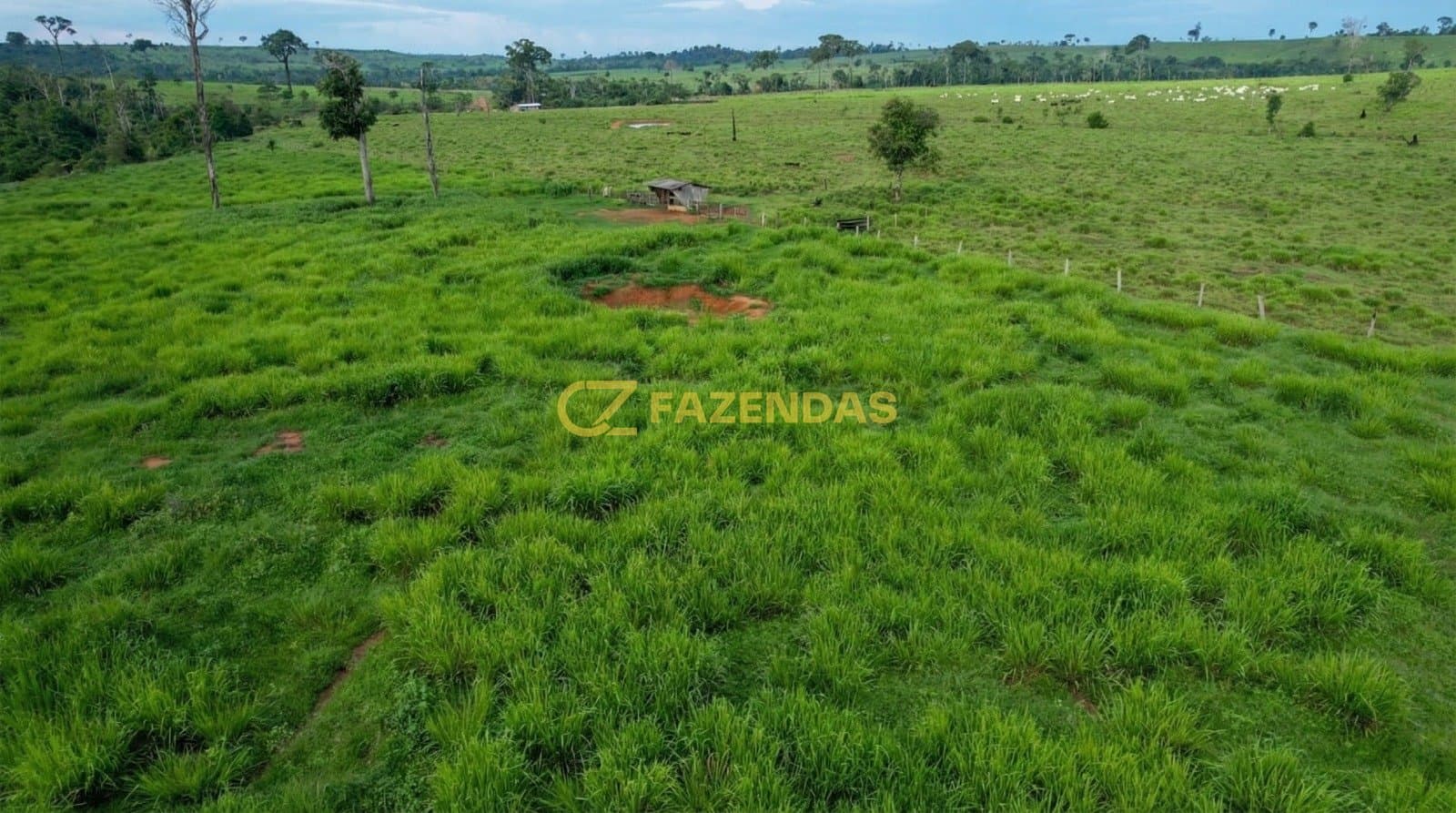 Fazenda em Apiacás