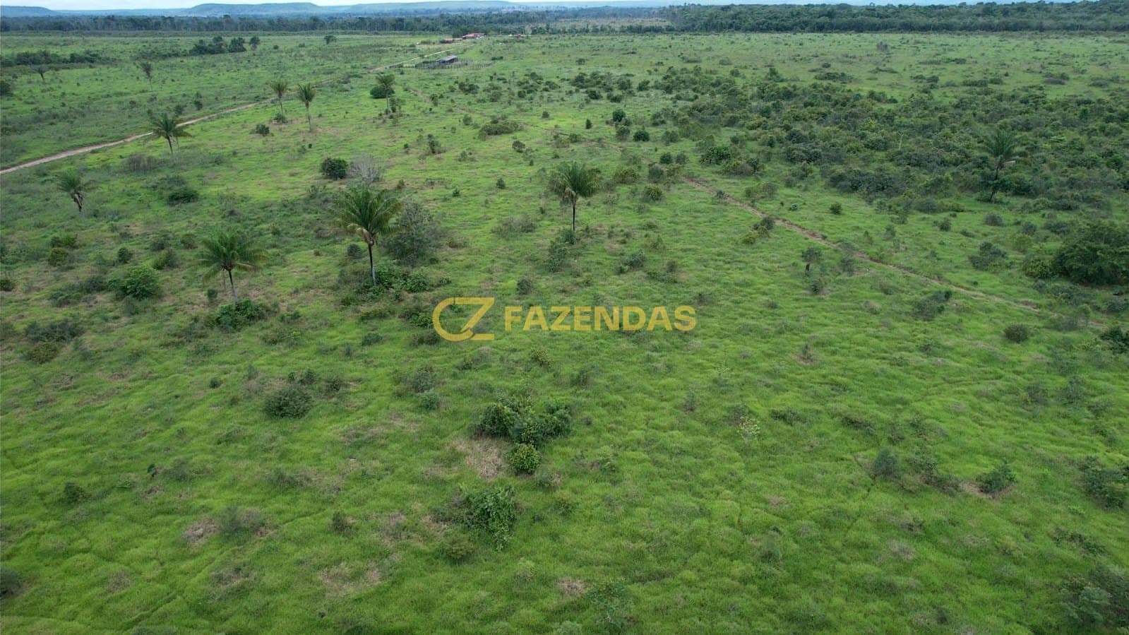 Fazenda em Tabaporã - Asfalto na Frente